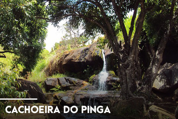 Vitrine Cachoeira do Pinga